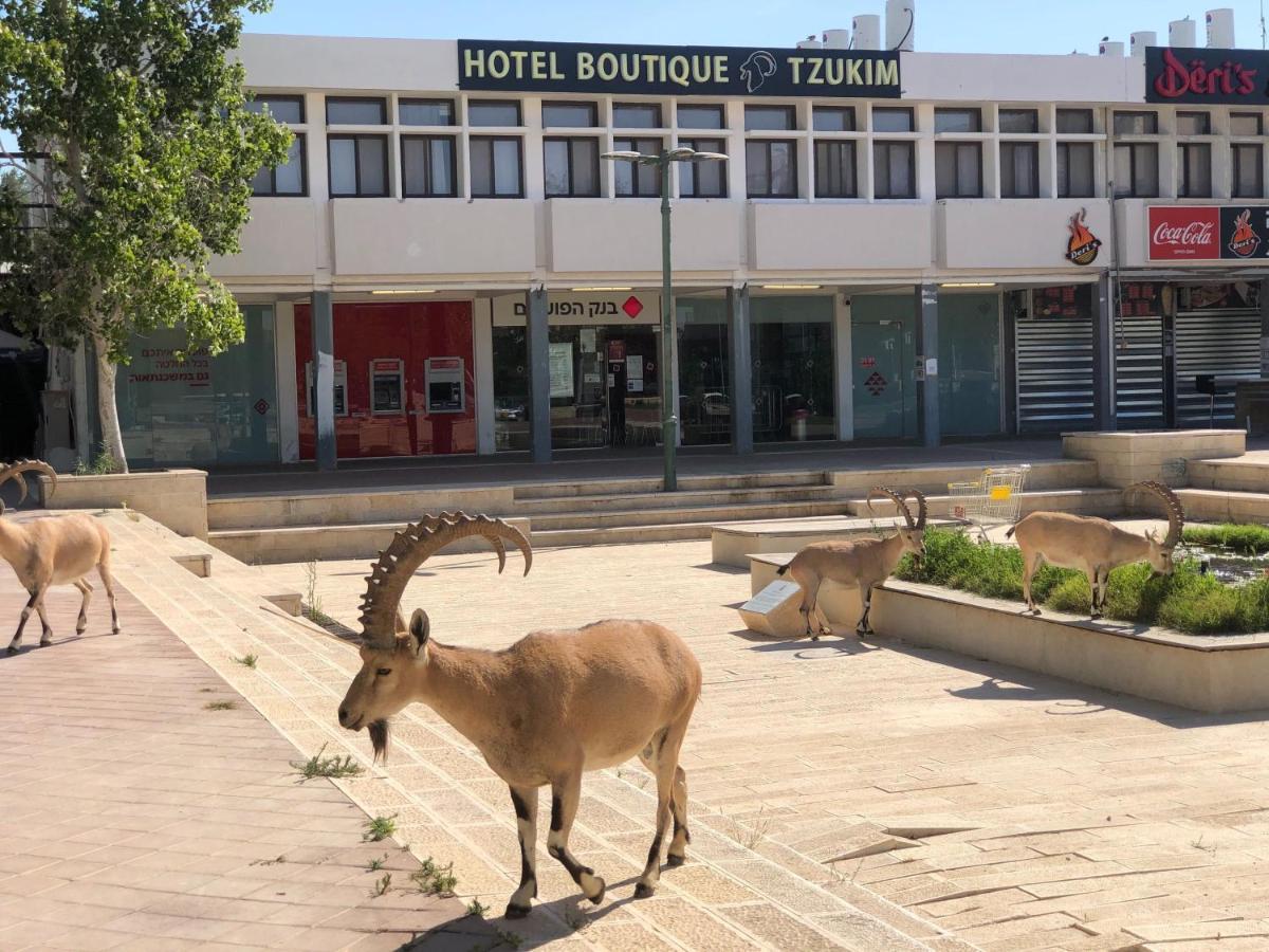 Tzukim Desert Traveler'S Hotel - מלון צוקים Mitzpe Ramon Esterno foto
